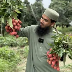 বোম্বাই লিচু - Bombai Litchi