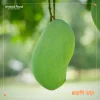 মহারাজ ফজলি / Moharaj Fozli